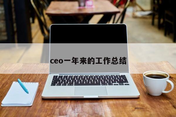 ceo一年来的工作总结