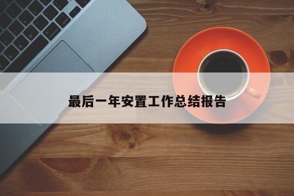 最后一年安置工作总结报告